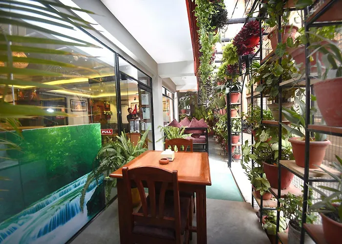 Mums Hotel Katmandou